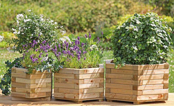 Holz-Blumenkästen sechseckig im Set