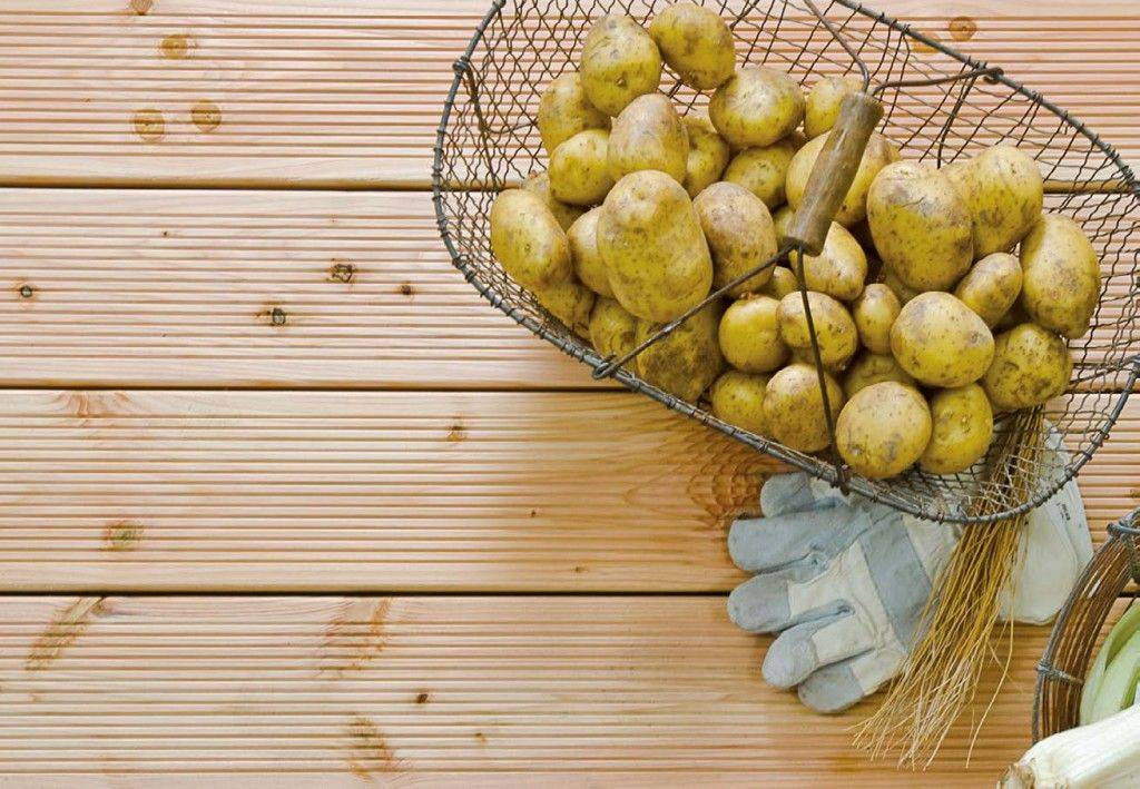 unbehandelte Terrassendielen aus Douglasie