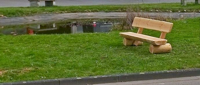 Grünfläche mit Feldberg Parkbank